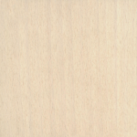 Bleached Beech