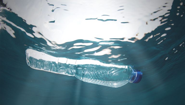 Bottle In Ocean Forever Fabric