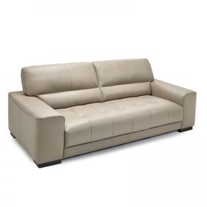 arena product image