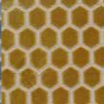 Sxaum Mustard
