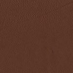 Touch Cognac